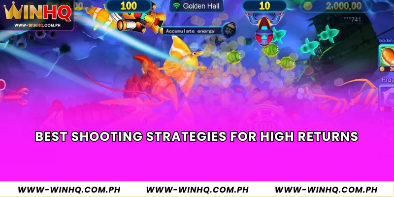 Best Shooting Strategies for High Returns