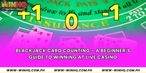 Blackjack Card Counting