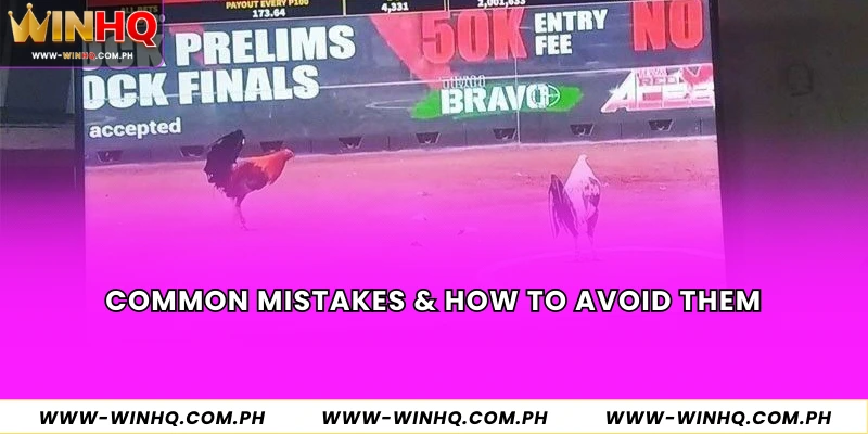 Common Mistakes & How to Avoid Them