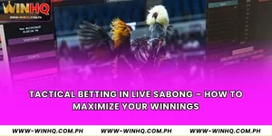 Tactical Betting in Live Sabong